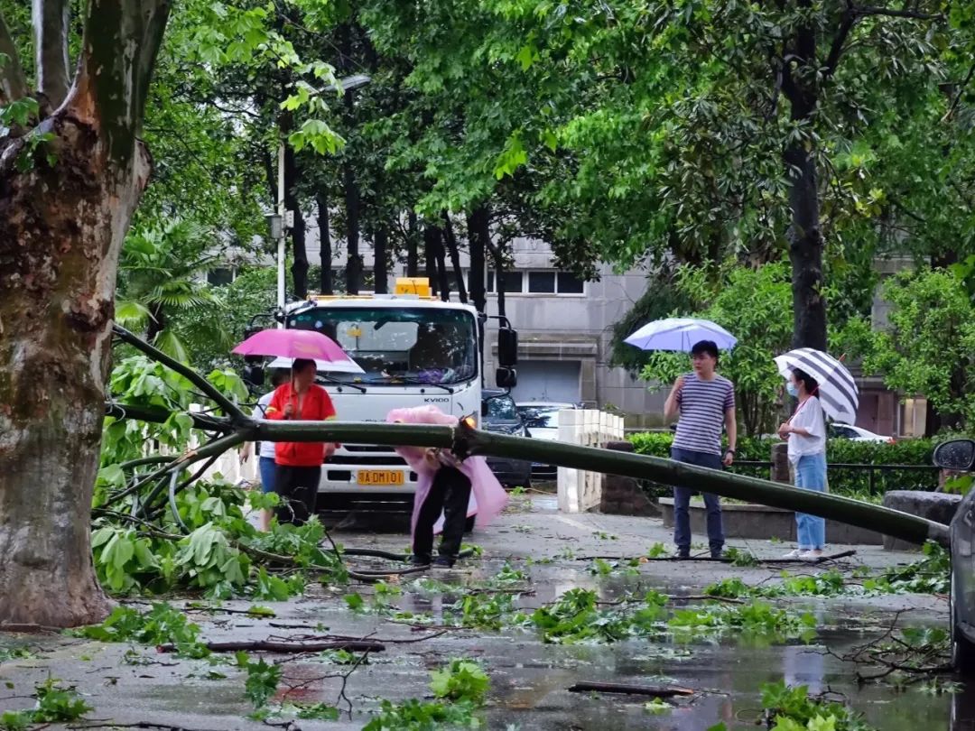 自然之力与人类的挑战，狂风暴雨的最新章节揭秘