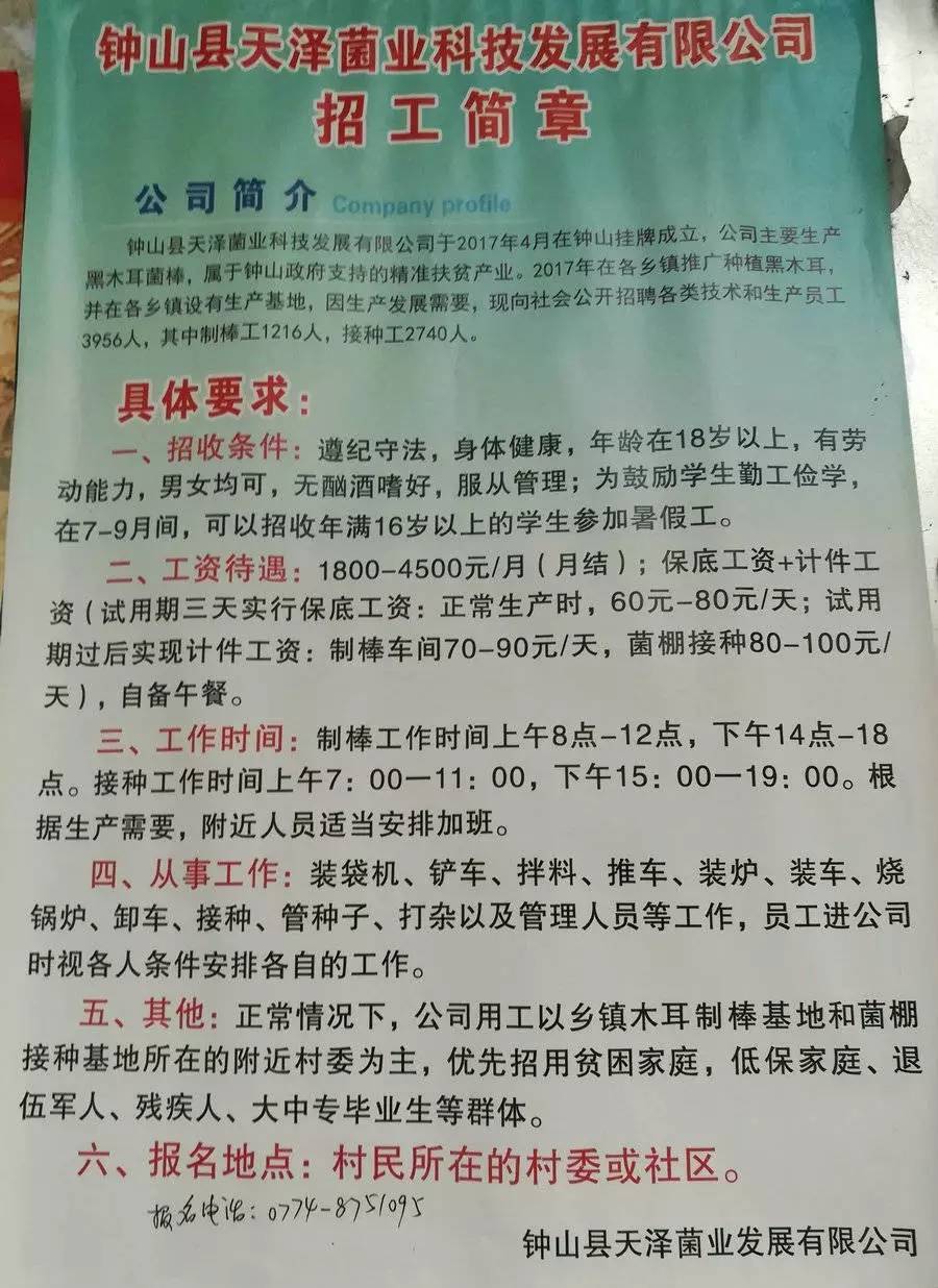 新乐工厂最新招工信息概览，招工职位、要求及待遇全解析