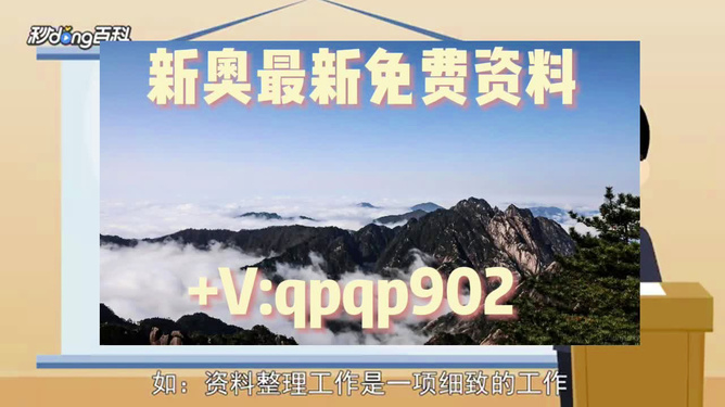 新澳2024年精准正版资料｜决策资料解释落实