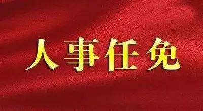 内江市委最新人事任免，推动城市发展的新一轮力量布局调整