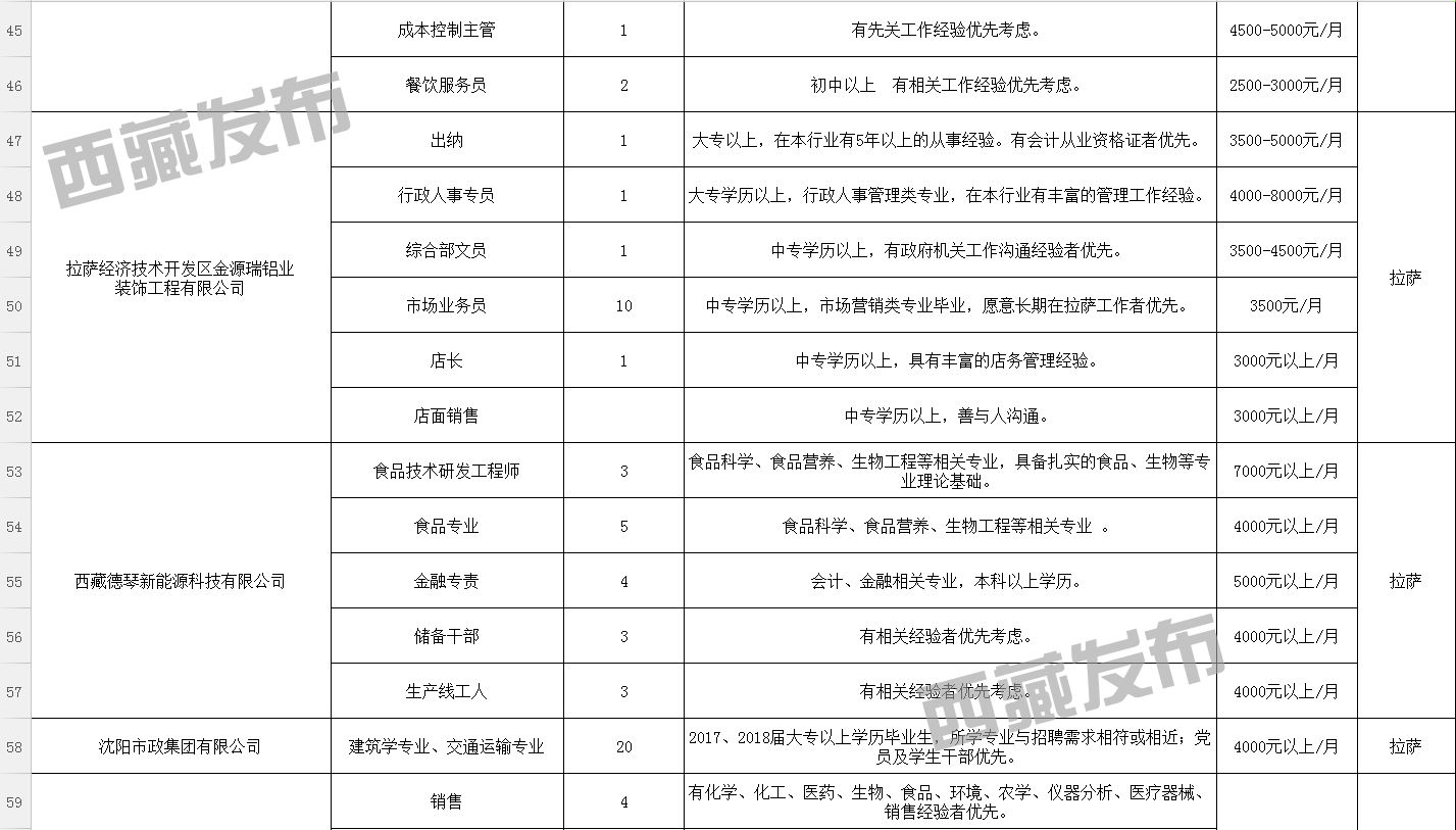 洛隆县数据和政务服务局最新招聘信息全解析