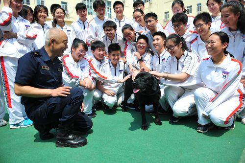 青岛市禁养犬最新政策解读及犬类禁养名单更新通知