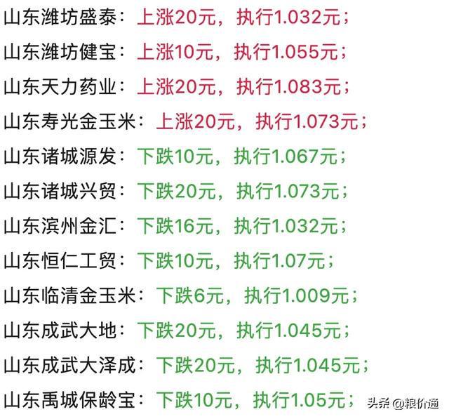 济南玉米价格最新行情及分析概览