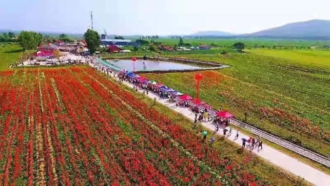 夹信子镇最新项目，地区发展的强大引擎驱动力